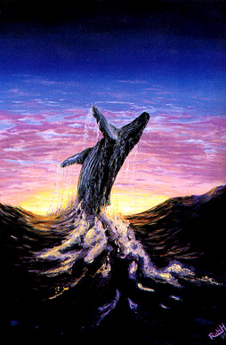 pretty-whale