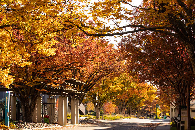 Sac state fall beauty