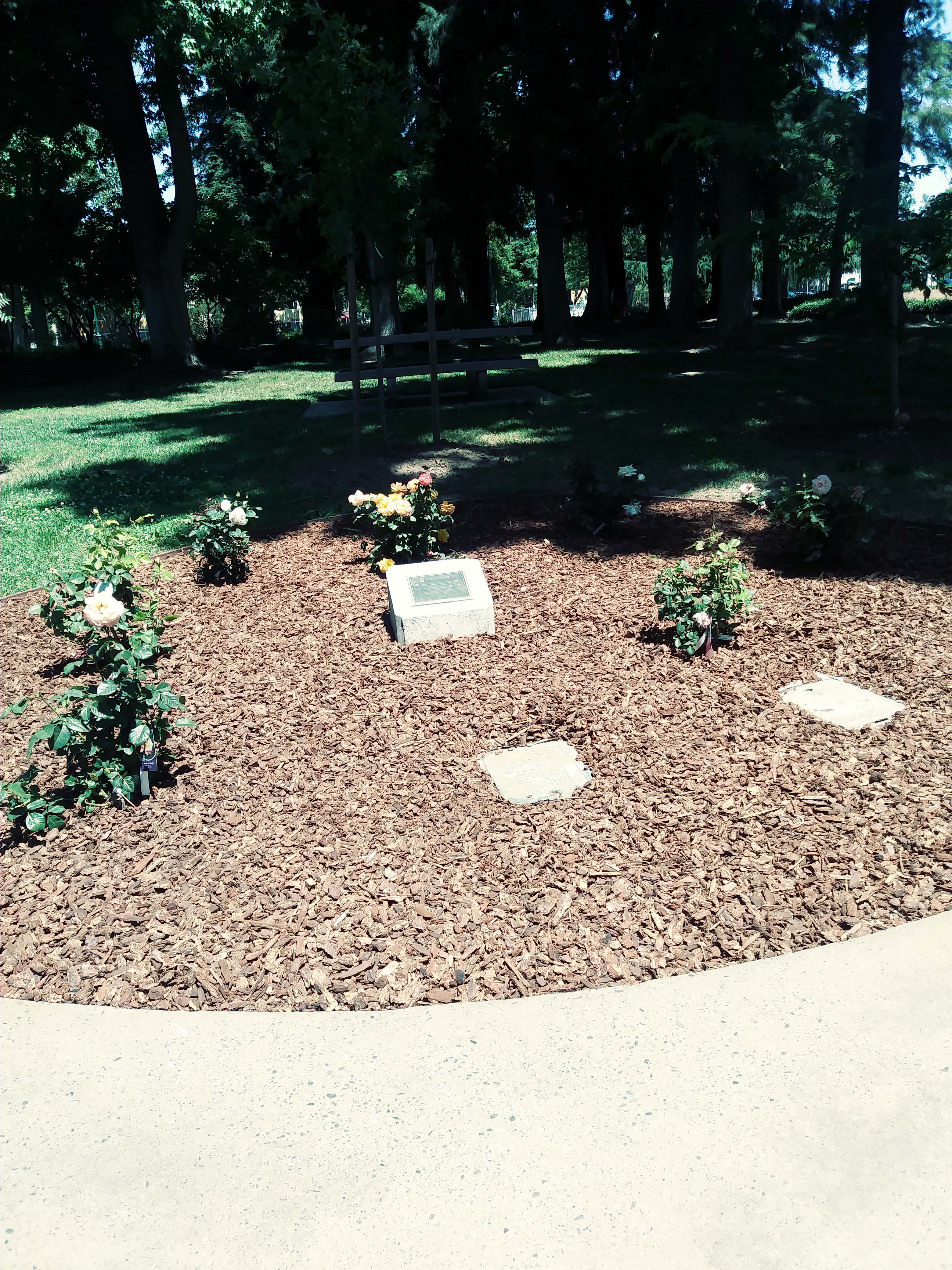 Education Equity Garden