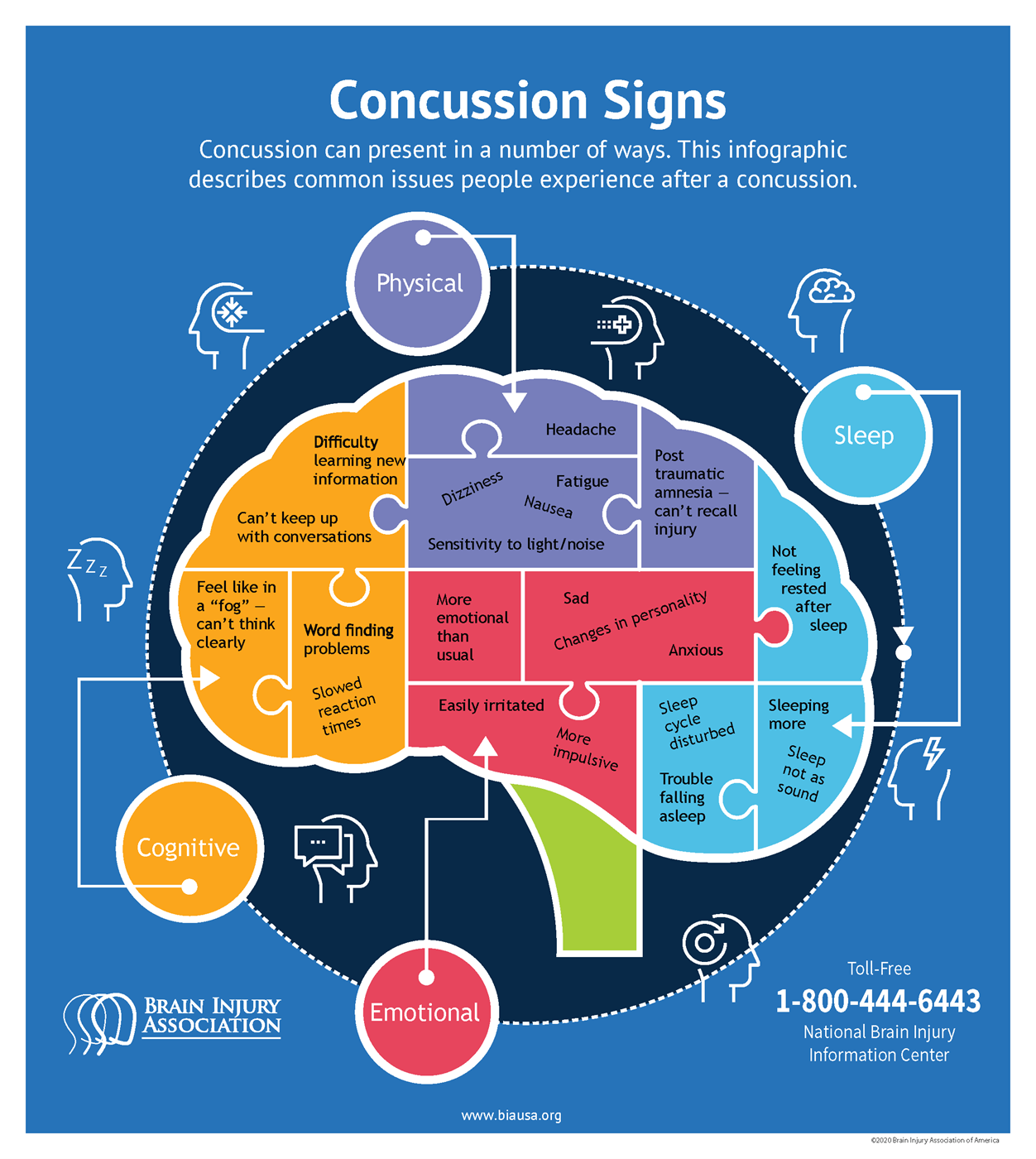 Traumatic Brain Injury Research Projects Sacramento State