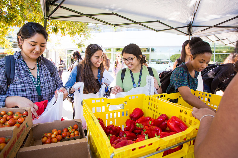 Female students checking out fresh produce at outdoor market