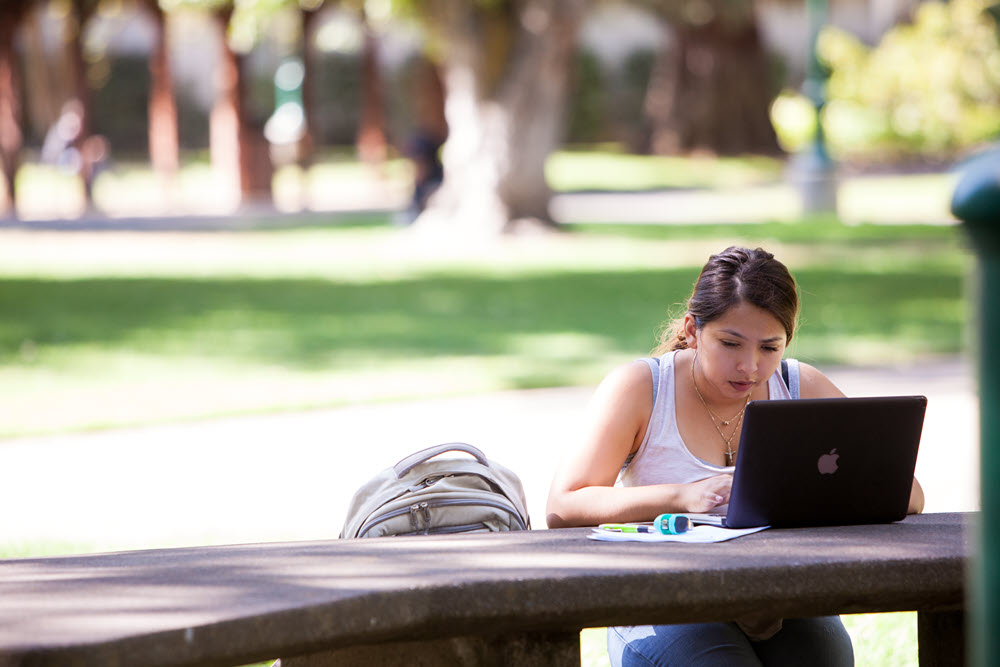 Student studying on laptop