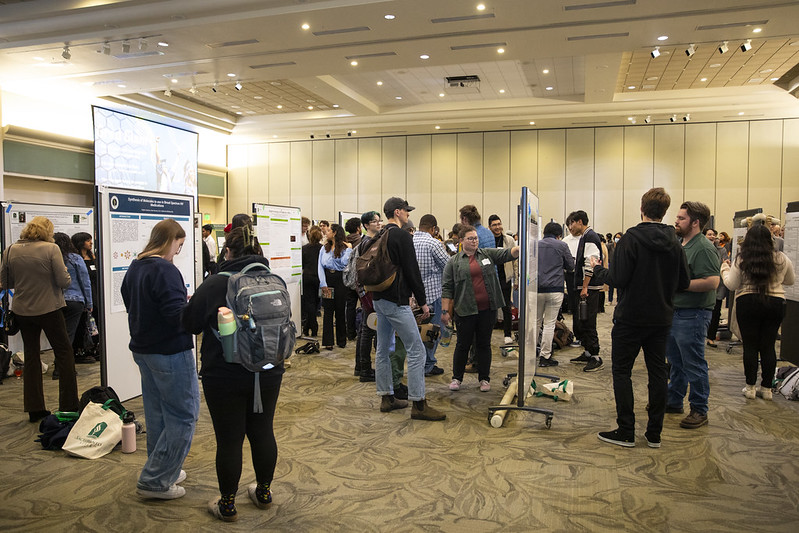 Student Presenting at Sac State's Fall Poster Forum