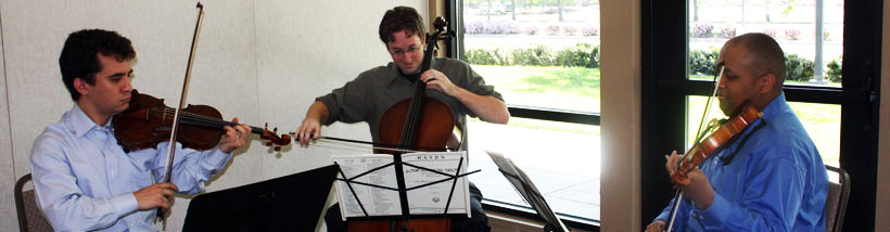 Sacramento Haydn Trio picture