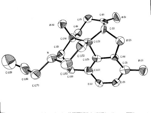 Figure 2. Naloxone, C19H21NO4