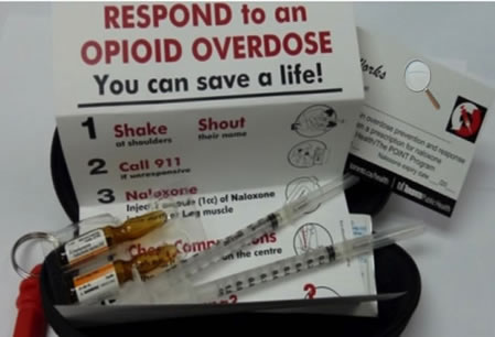 Figure 1. Naloxone Recue Kit