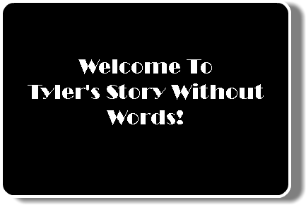  Welcome To
Tyler's Story Without Words!