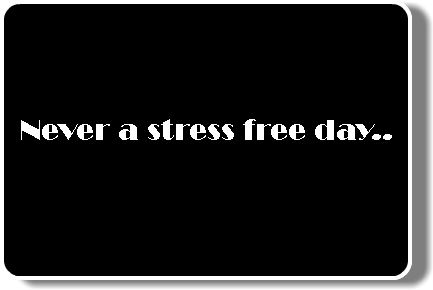  Never a stress free day..