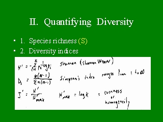 II. Quantifying Diversity