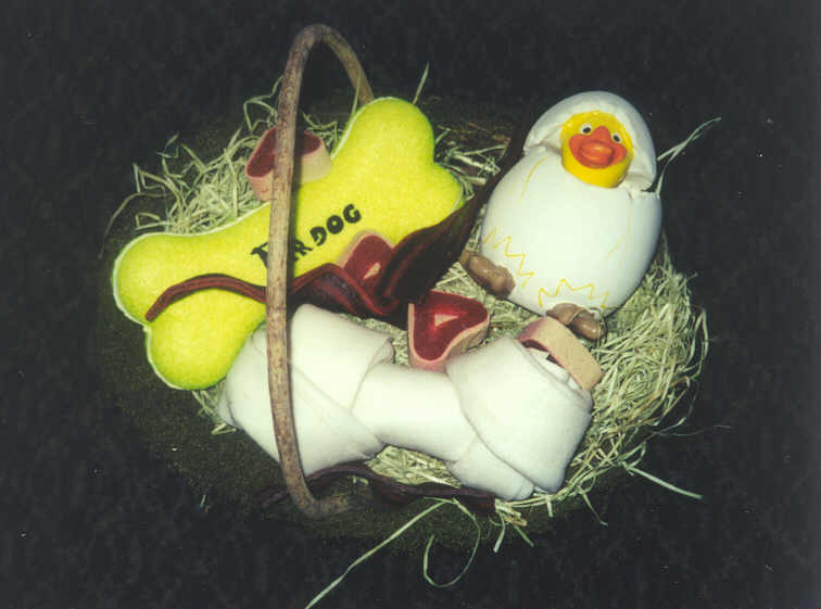 PiscoEaster1.jpg (39408 bytes)