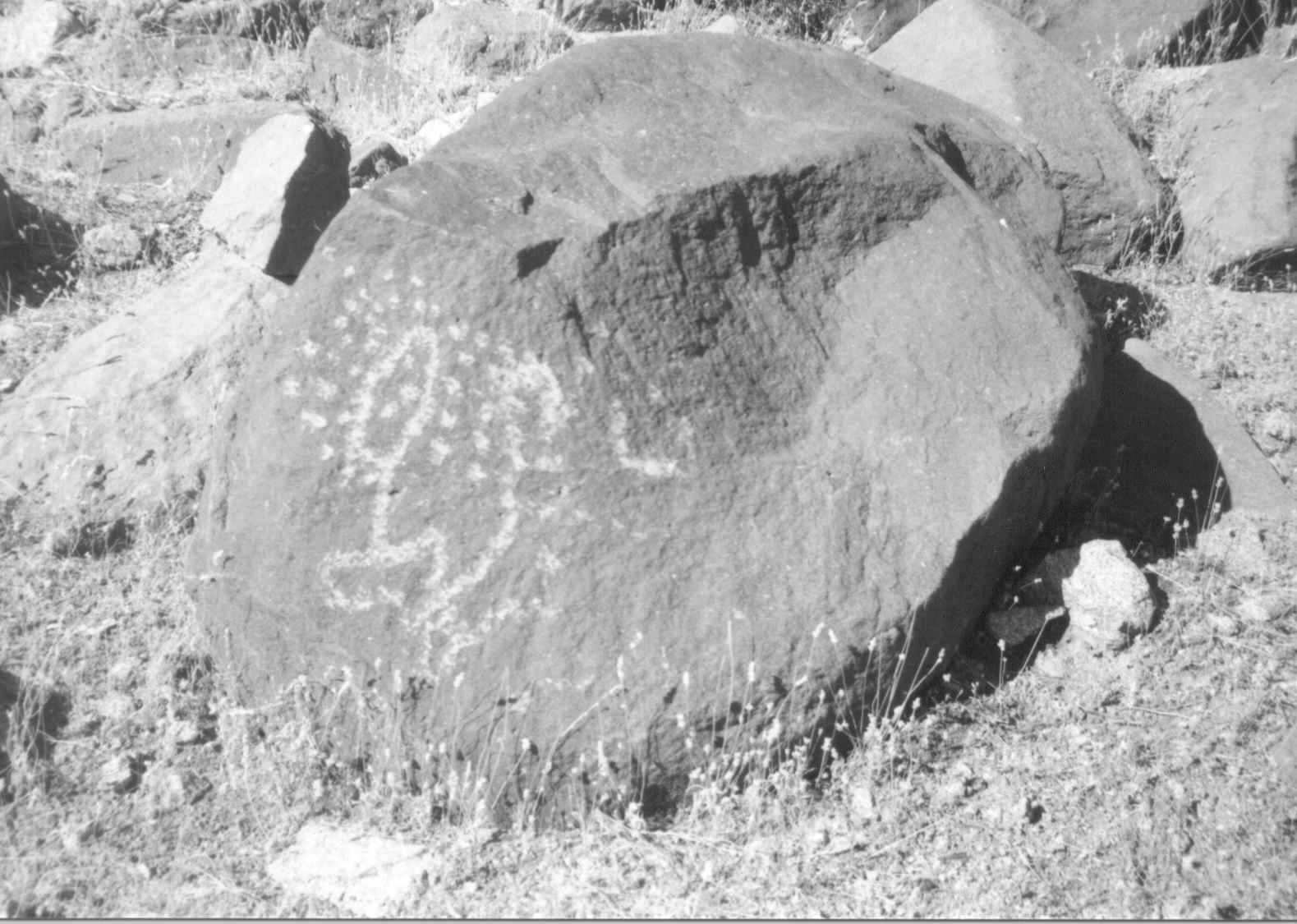 Petroglyphs.jpg (141403 bytes)