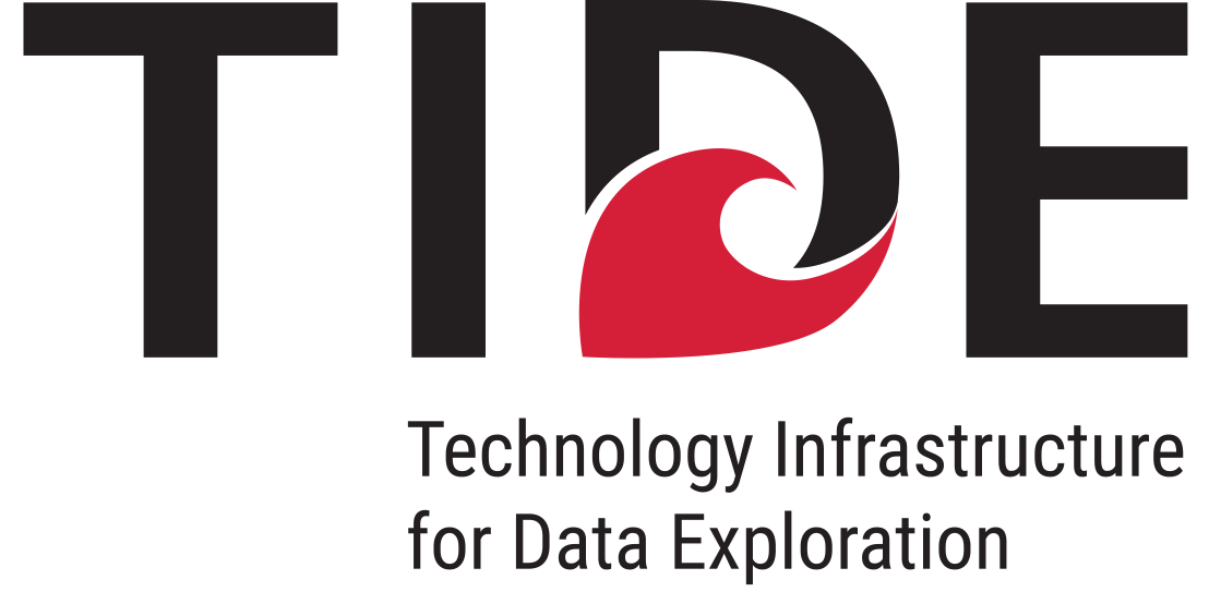 Logo for the Technology Infrastructure for Data Exploration project.