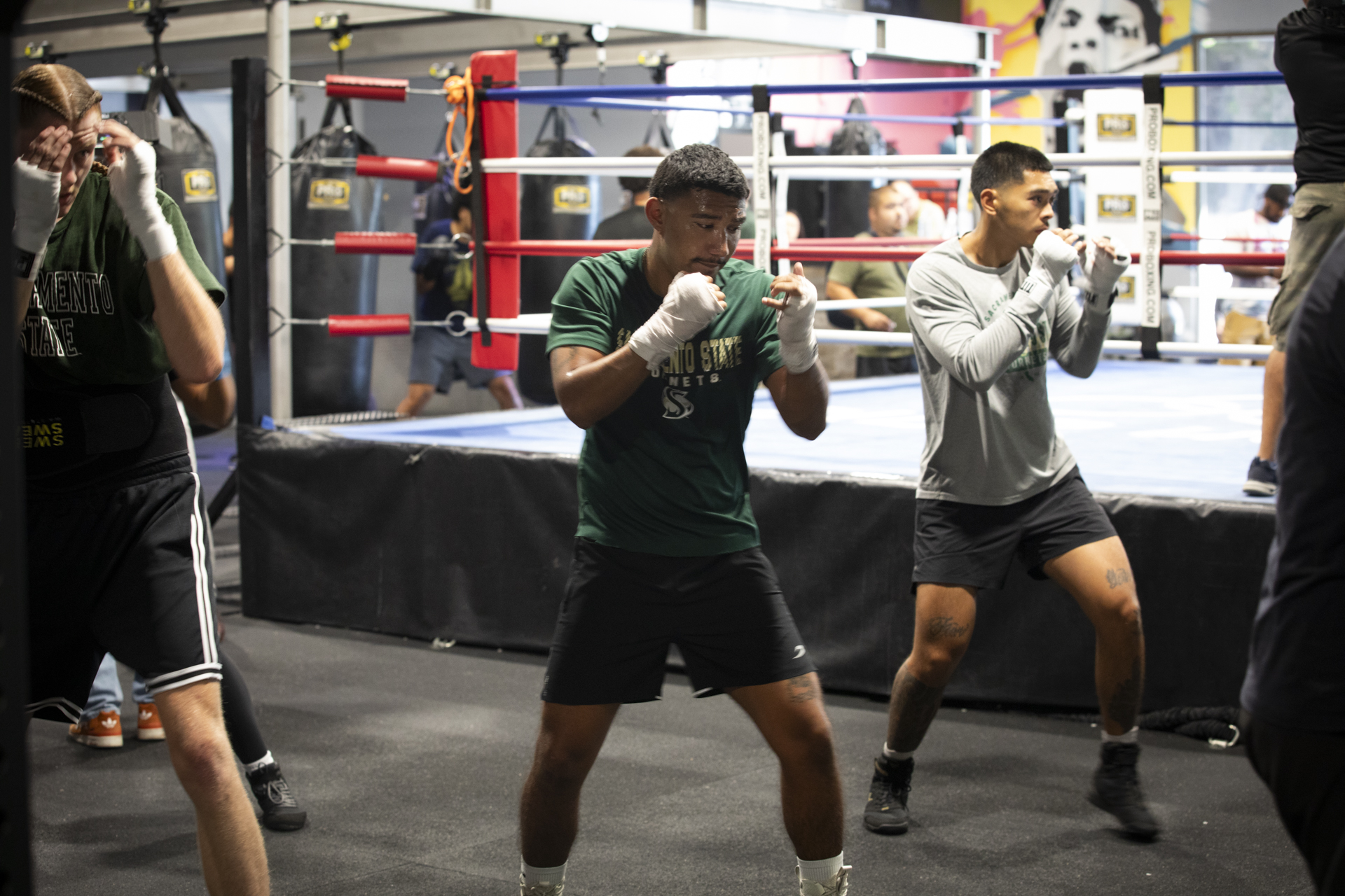 Boxers training in a gym.
