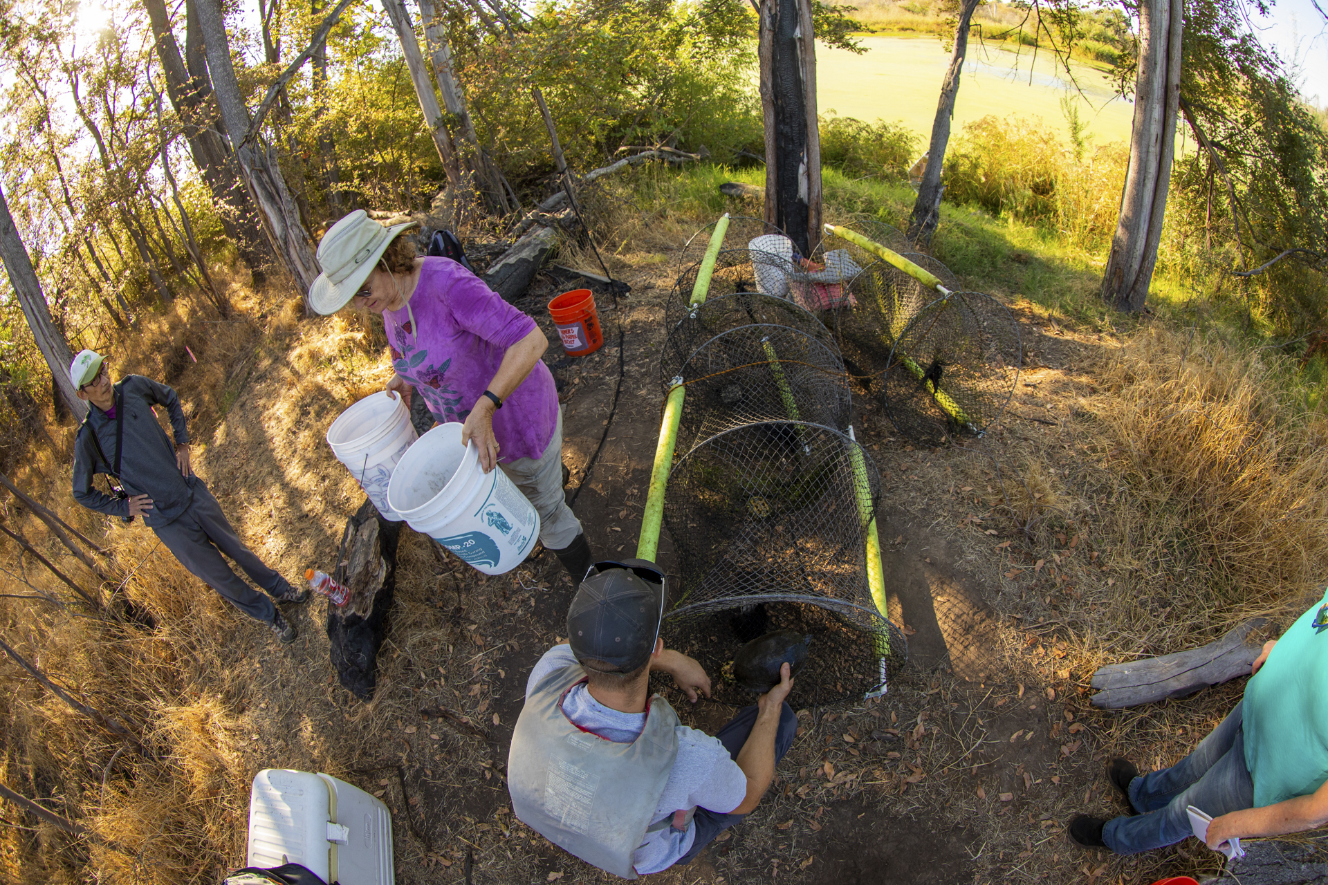 Michelle Stevens and two students performing habitat restoration work at Bushy Lake.