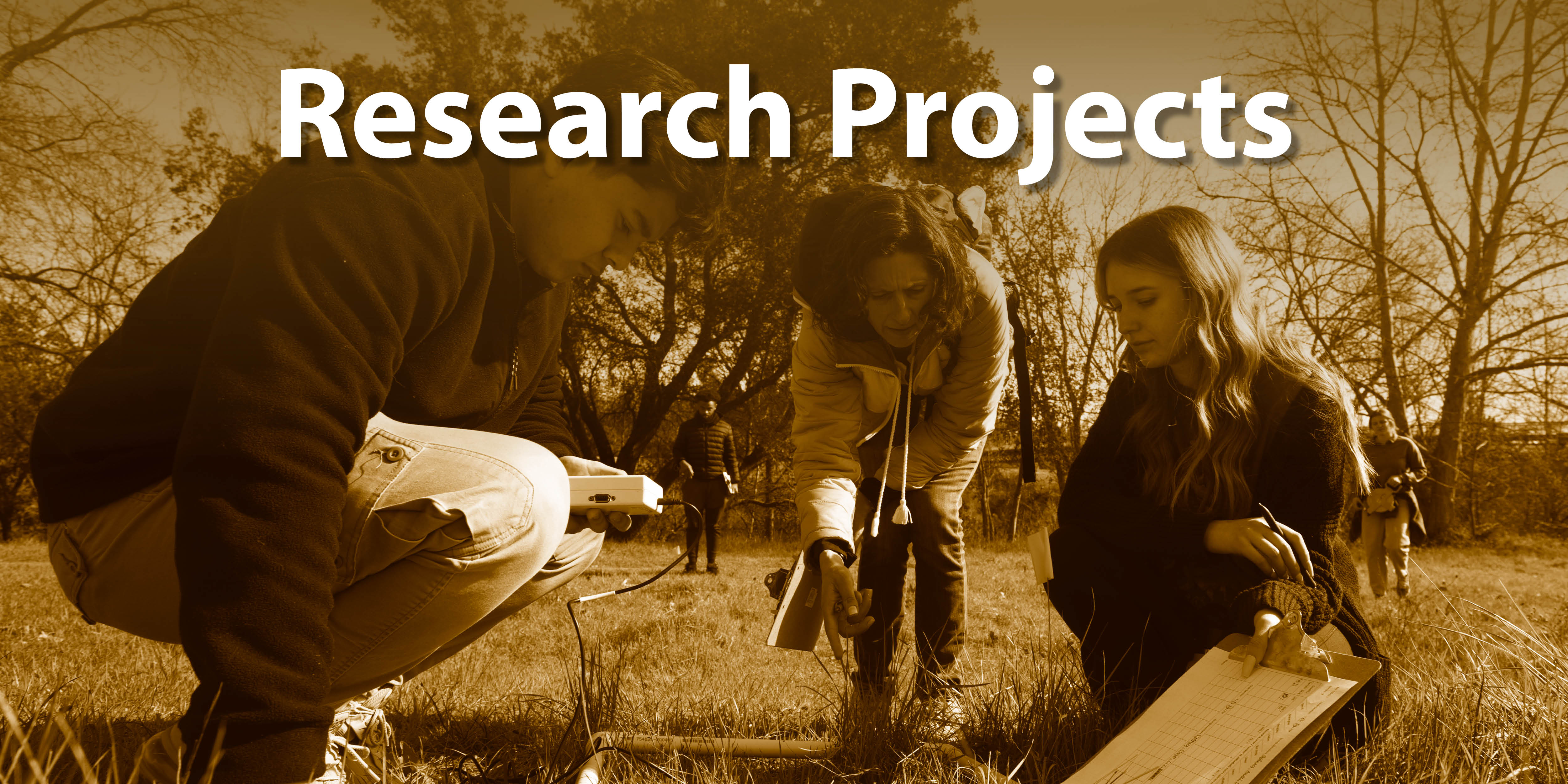 Photo illustration of research projects. 